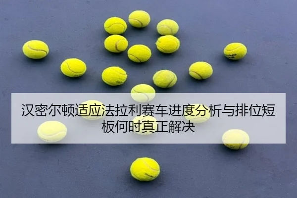 han-mi-er-dun-shi-ying-fa-la-li-sai-che-jin-du-fen-xi-yu-pai-wei-duan-ban-he-shi-zhen-zheng-jie-jue-2-130.jpg